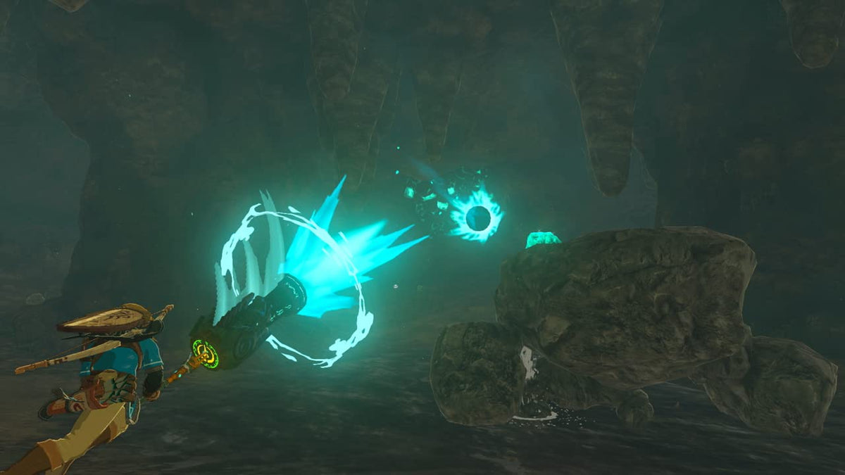 The Legend of Zelda: Tears of the Kingdom Nintendo Switch Z1650