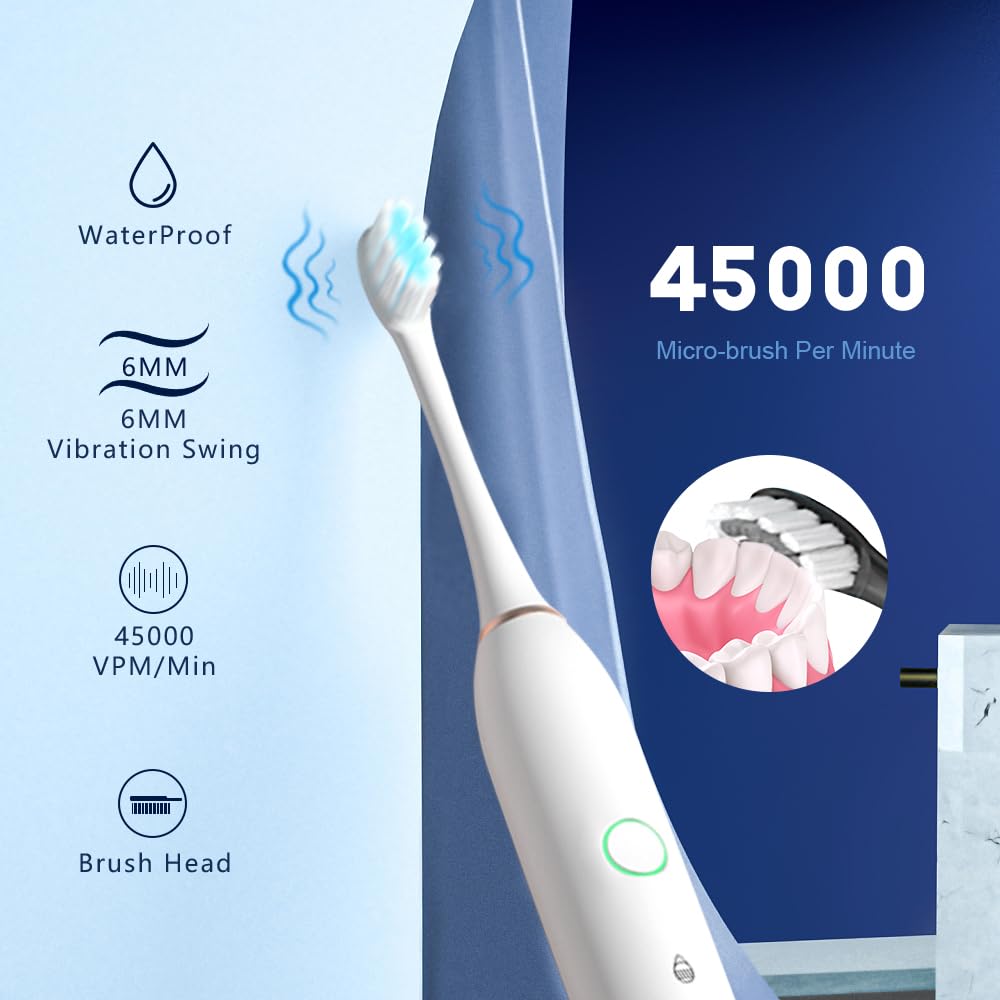 2 Pack Rechargeable Electric Toothbrushes with 8 Brush Heads H22244