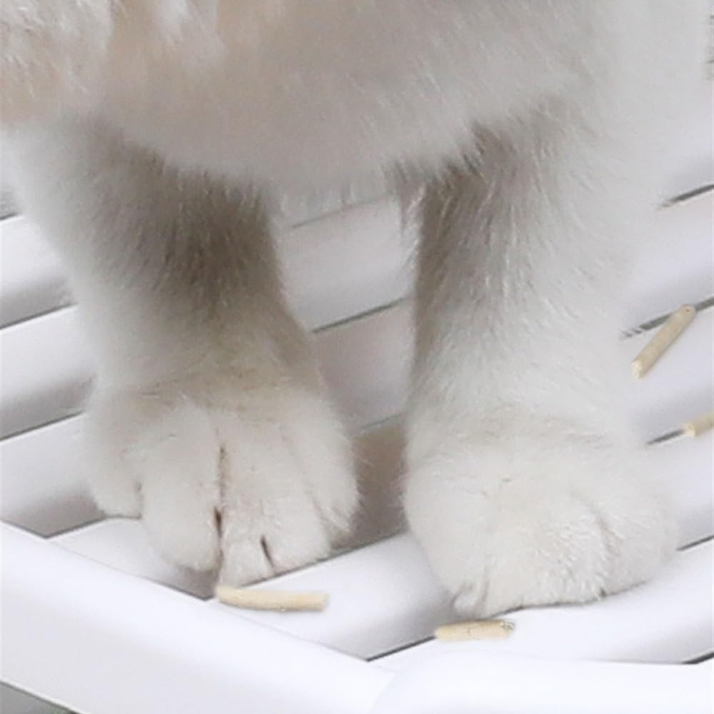 Enclosed Top-Entry Cat Litter Box with Scoop B1607