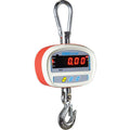 300lb Capacity Crane Scale V89704