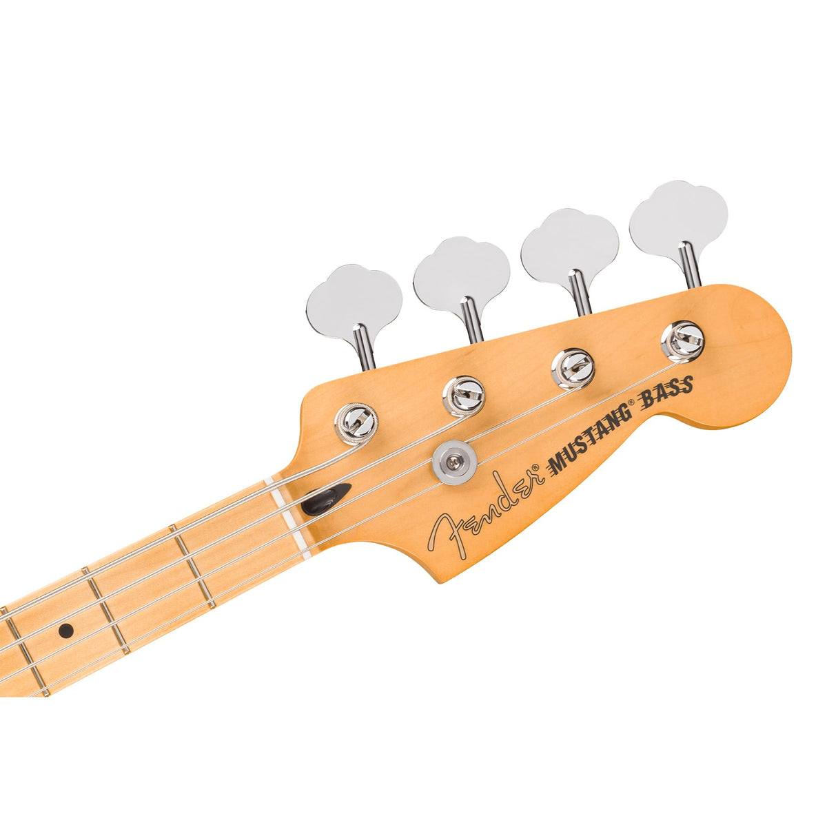 Cactus Gray Bass Guitar Bundle with Gig Bag I255
