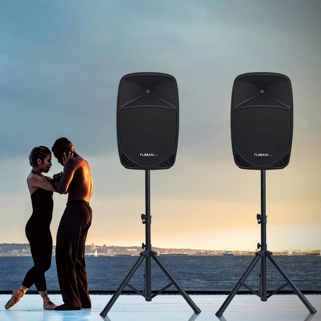 10 Inch 1200W PA Speaker System C767