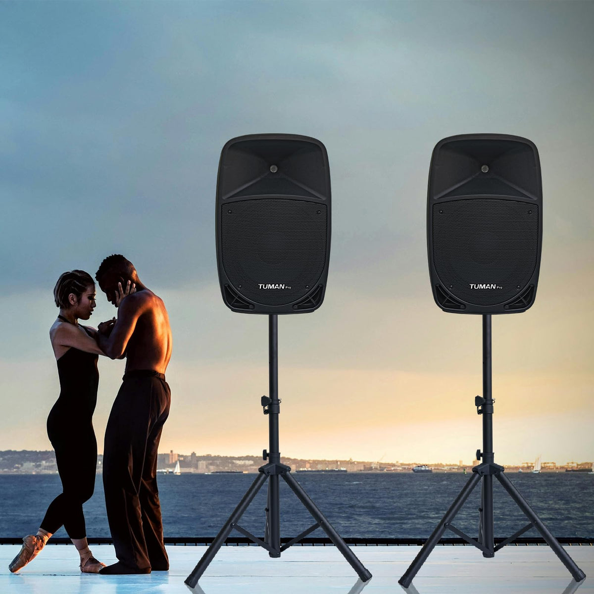 10 Inch 1200W PA Speaker System C767