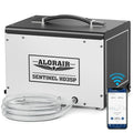 70 Pints Crawlspace Dehumidifier with Pump B42641