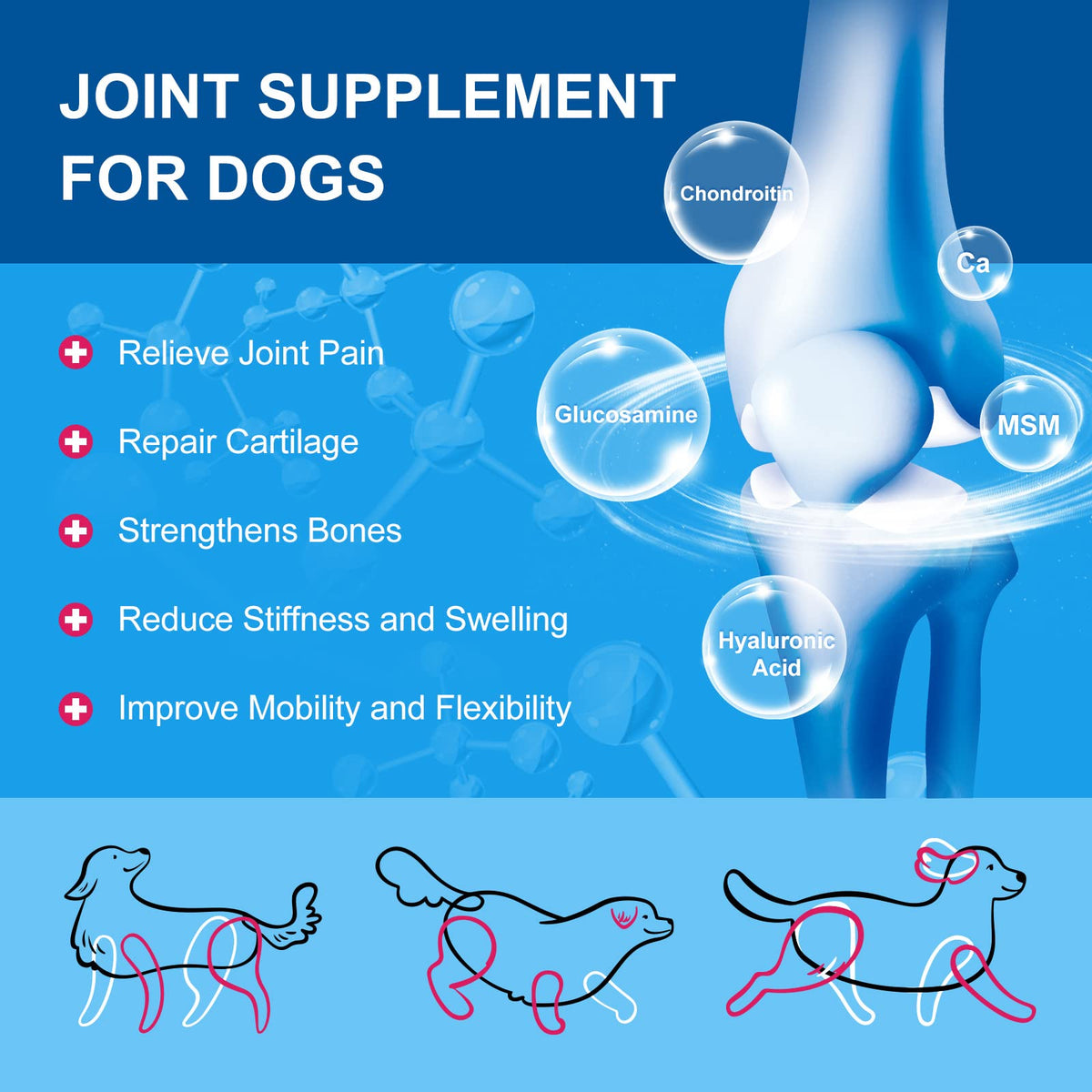 Dog Vitamins Powder Z689