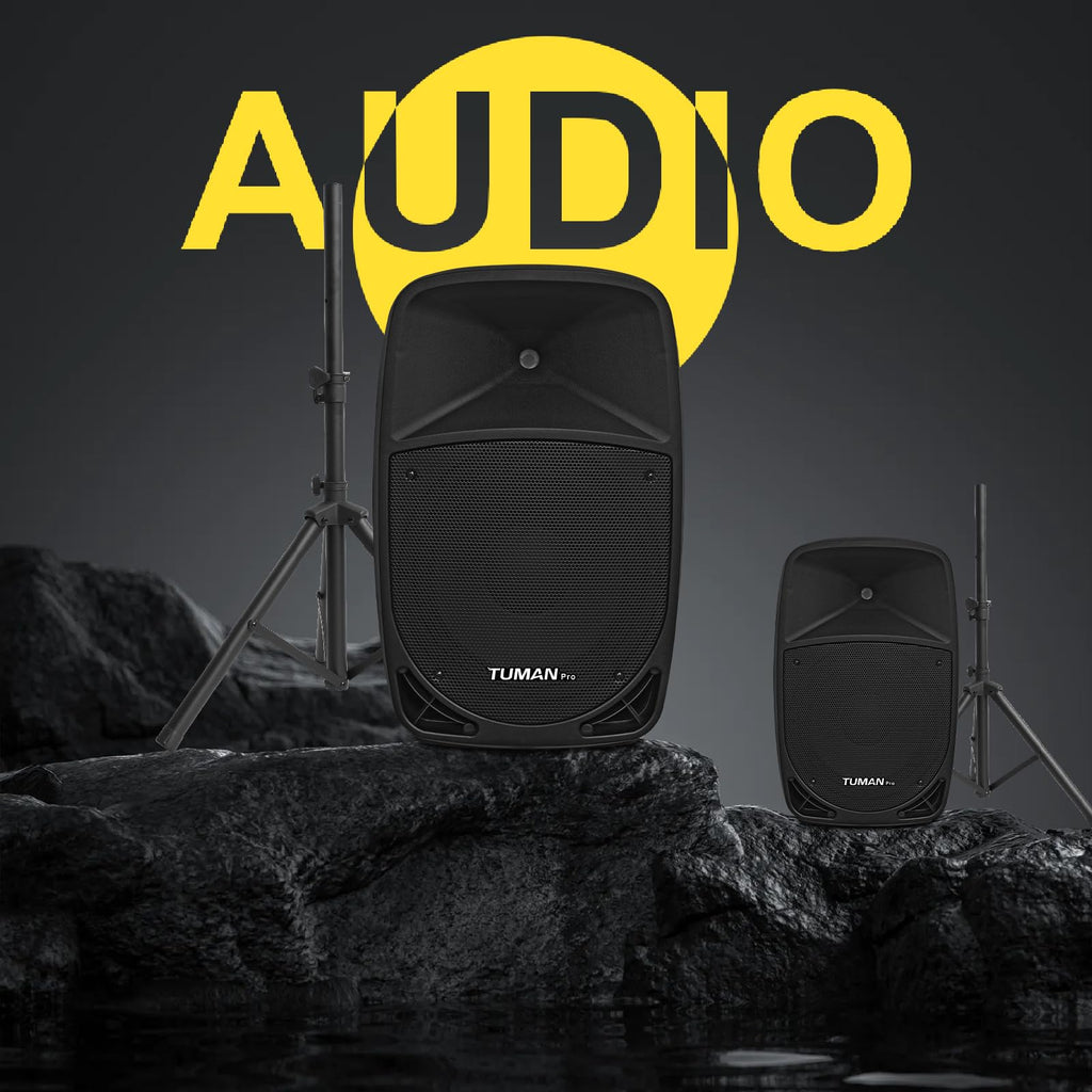 10 Inch 1200W PA Speaker System C767