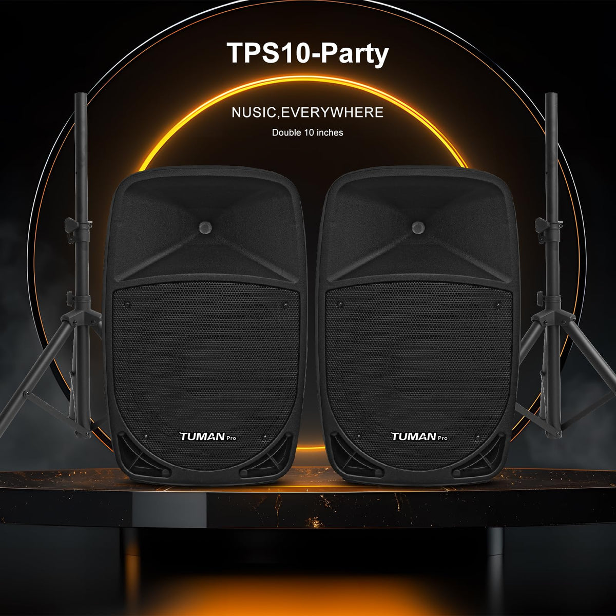 10 Inch 1200W PA Speaker System C767