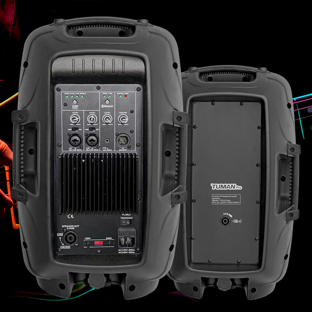 10 Inch 1200W PA Speaker System C767