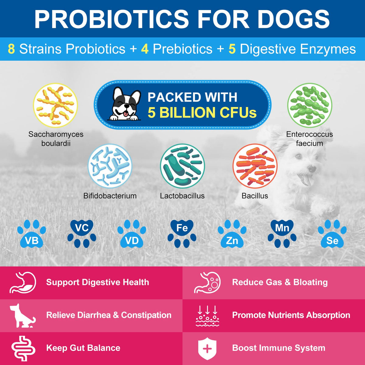 Dog Vitamins Powder Z689