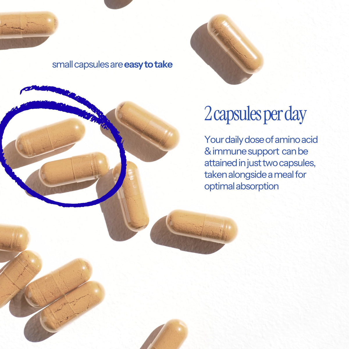 L-Lysine & Propolis with Quercetin, Vitamin C, Vitamin E & Zinc O864
