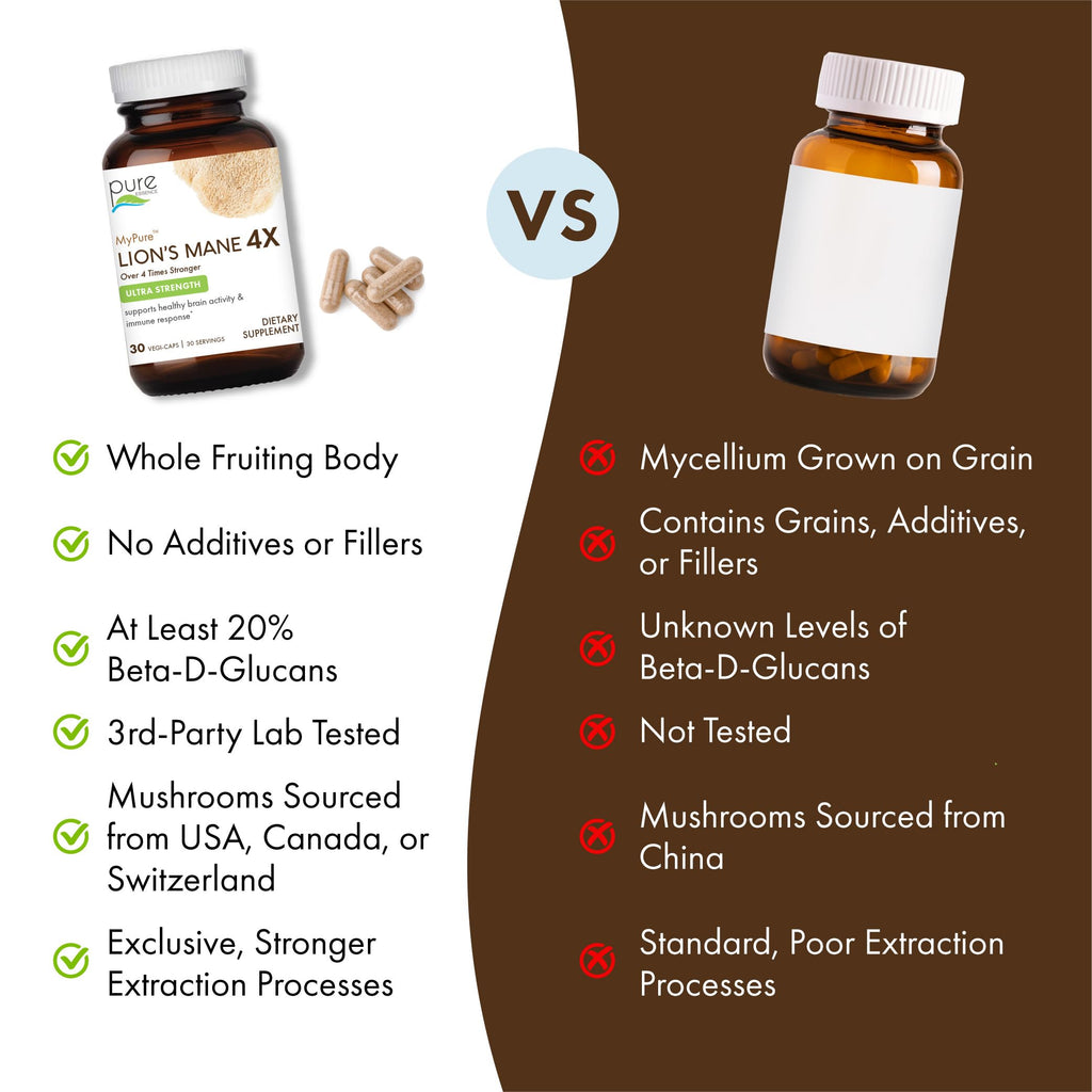 Lion's Mane Brain Support Supplement 30 Capsules I70594