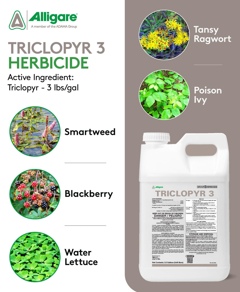 Triclopyr 3 Herbicide 2.5 Gal Q16727
