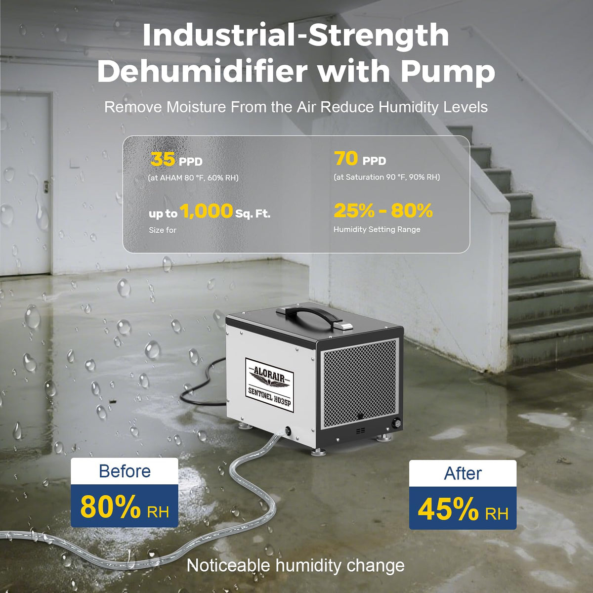 70 Pints Crawlspace Dehumidifier with Pump B42641