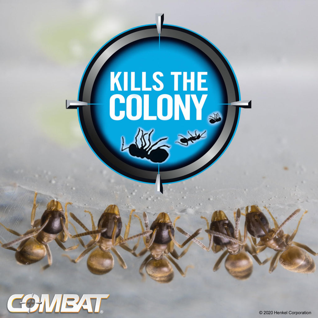 Combat Ant Killing Gel, 27 Gram B204650