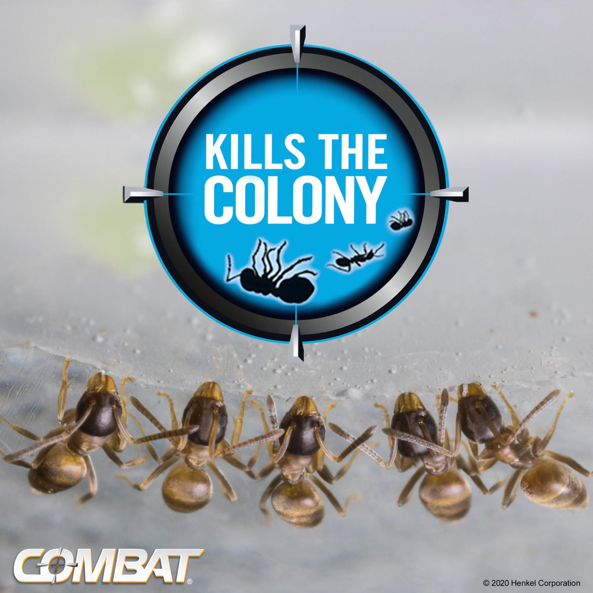 Combat Ant Killing Gel, 27 Gram B204650