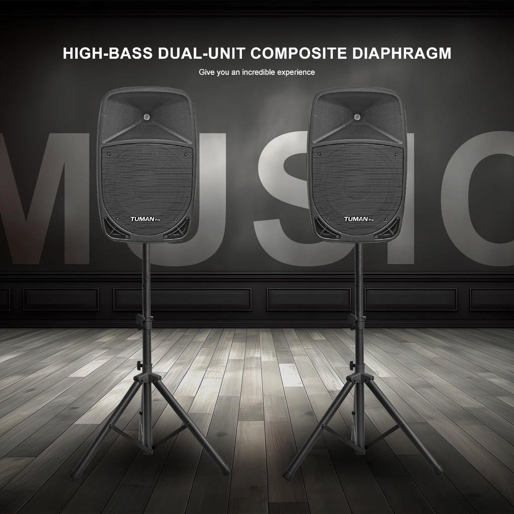 10 Inch 1200W PA Speaker System C767