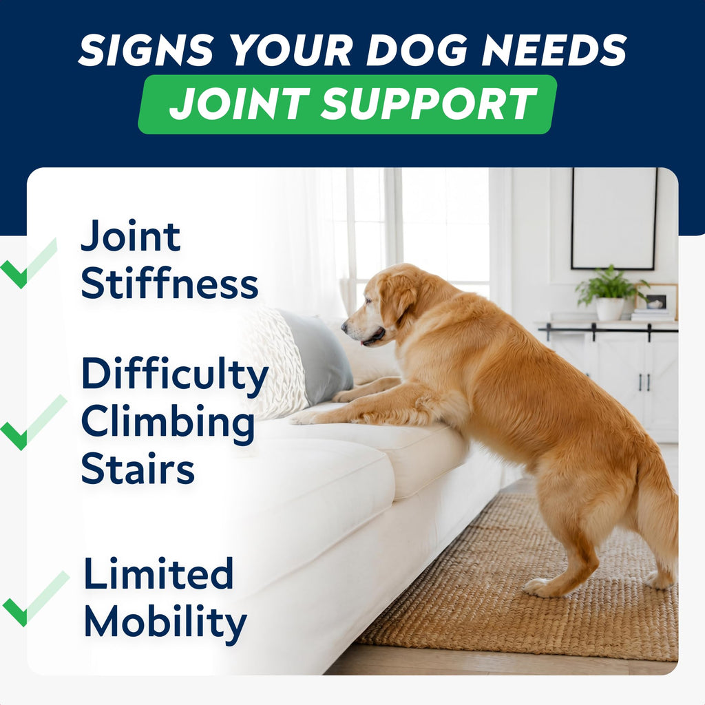 Hip Joint Supplement for Dogs J6542