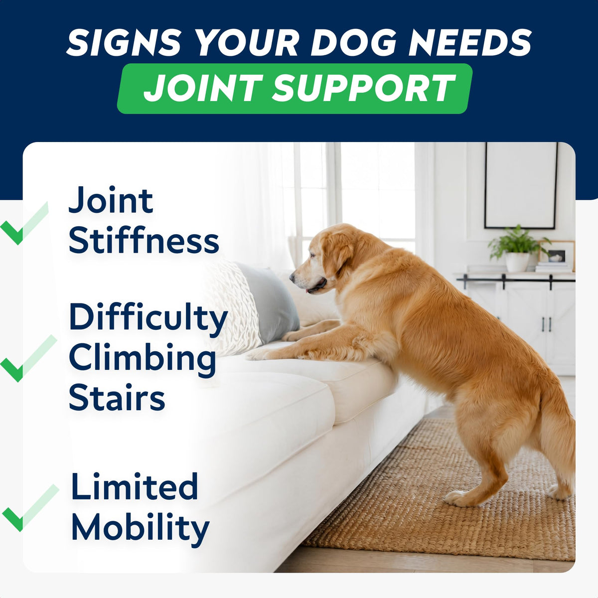 Hip Joint Supplement for Dogs J6542