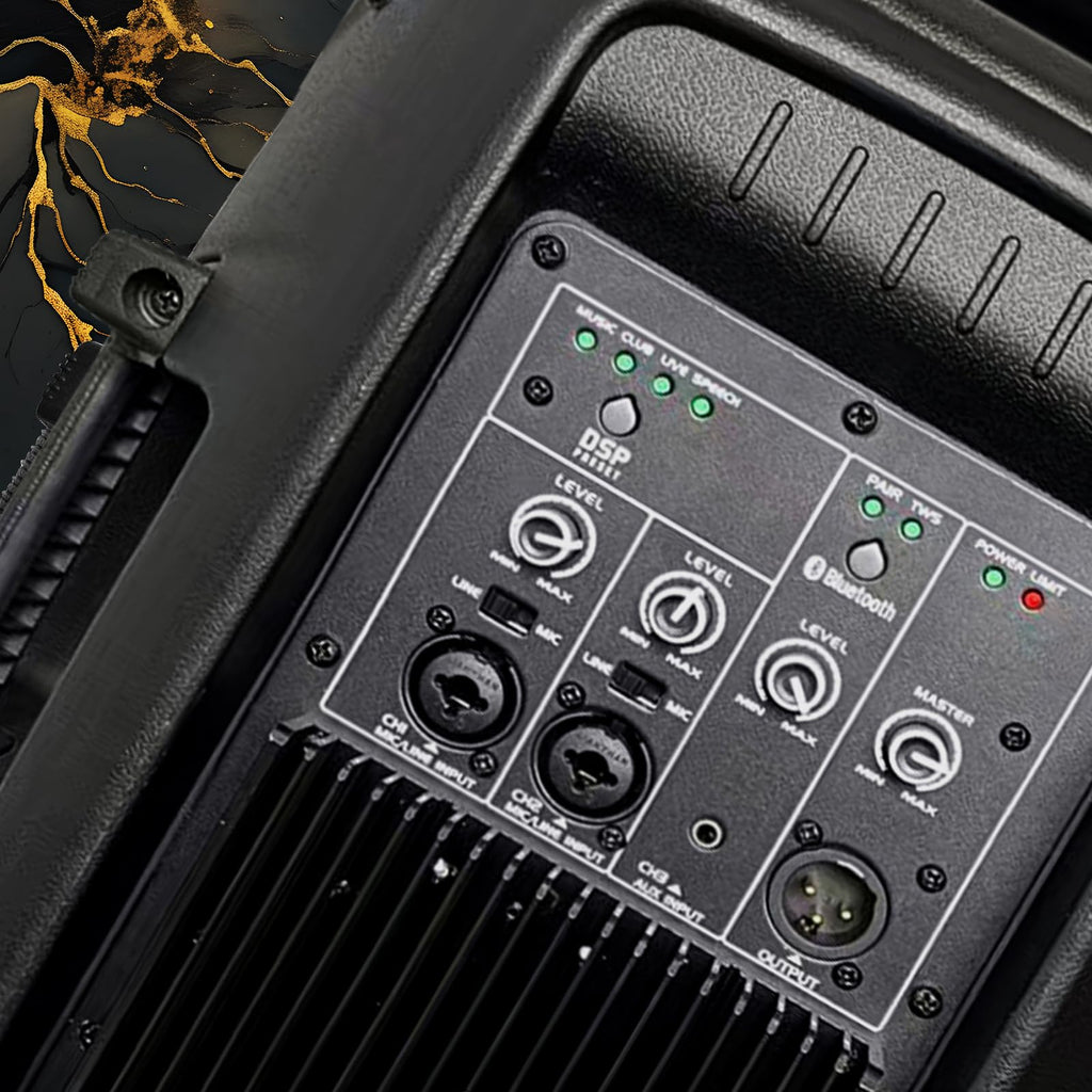 10 Inch 1200W PA Speaker System C767
