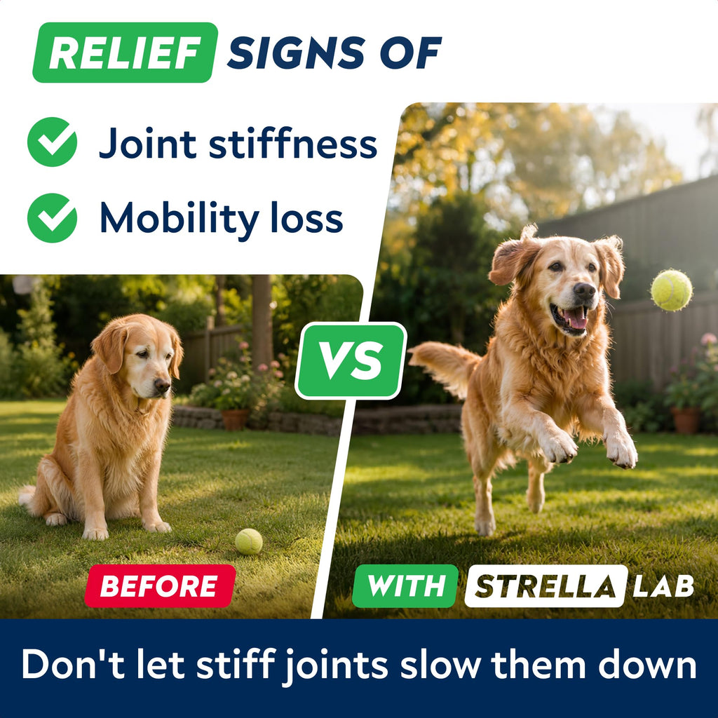 Hip Joint Supplement for Dogs J6542