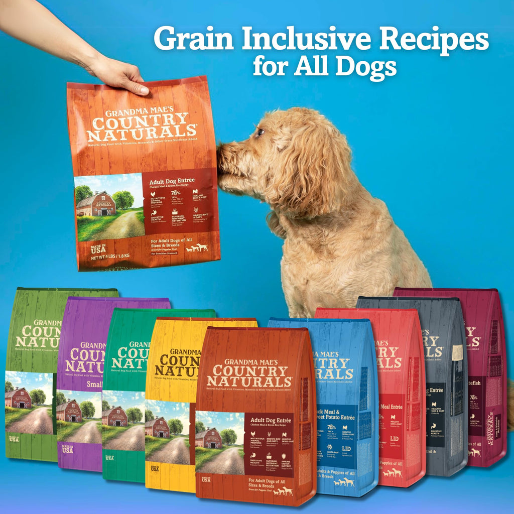 Chicken & Brown Rice Dry Dog Food 12 LB Bag K31856