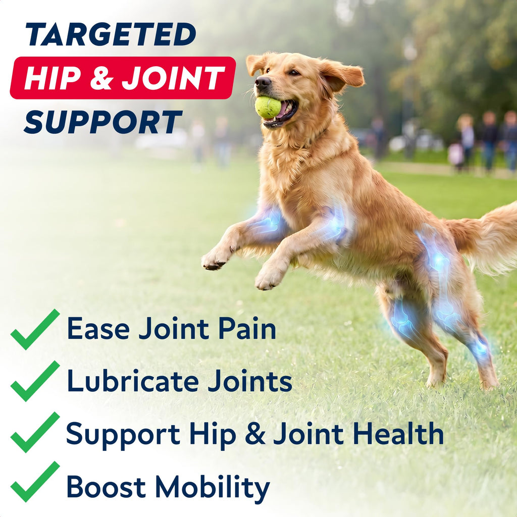 Hip Joint Supplement for Dogs J6542