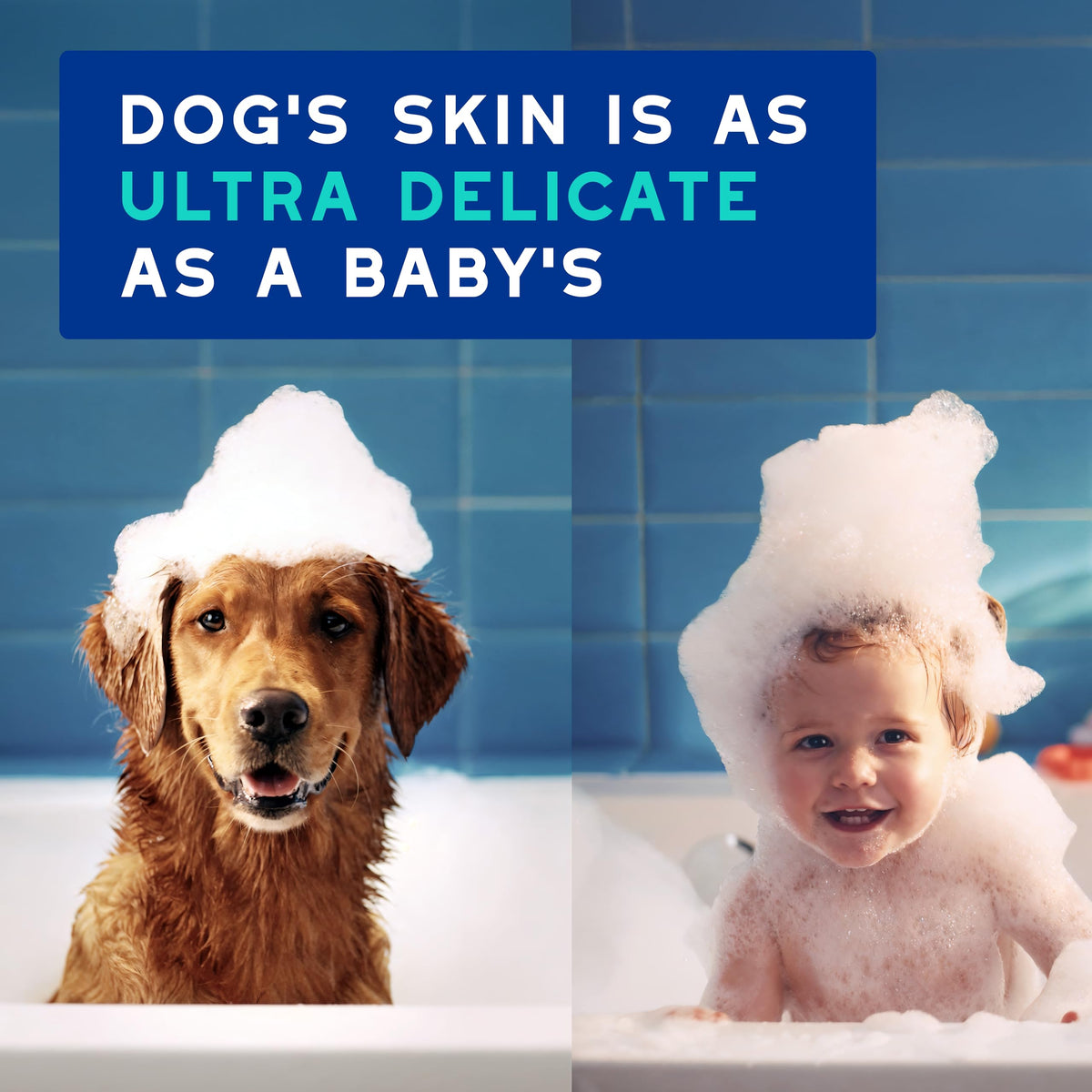Dog Shampoo 16 fl oz P882