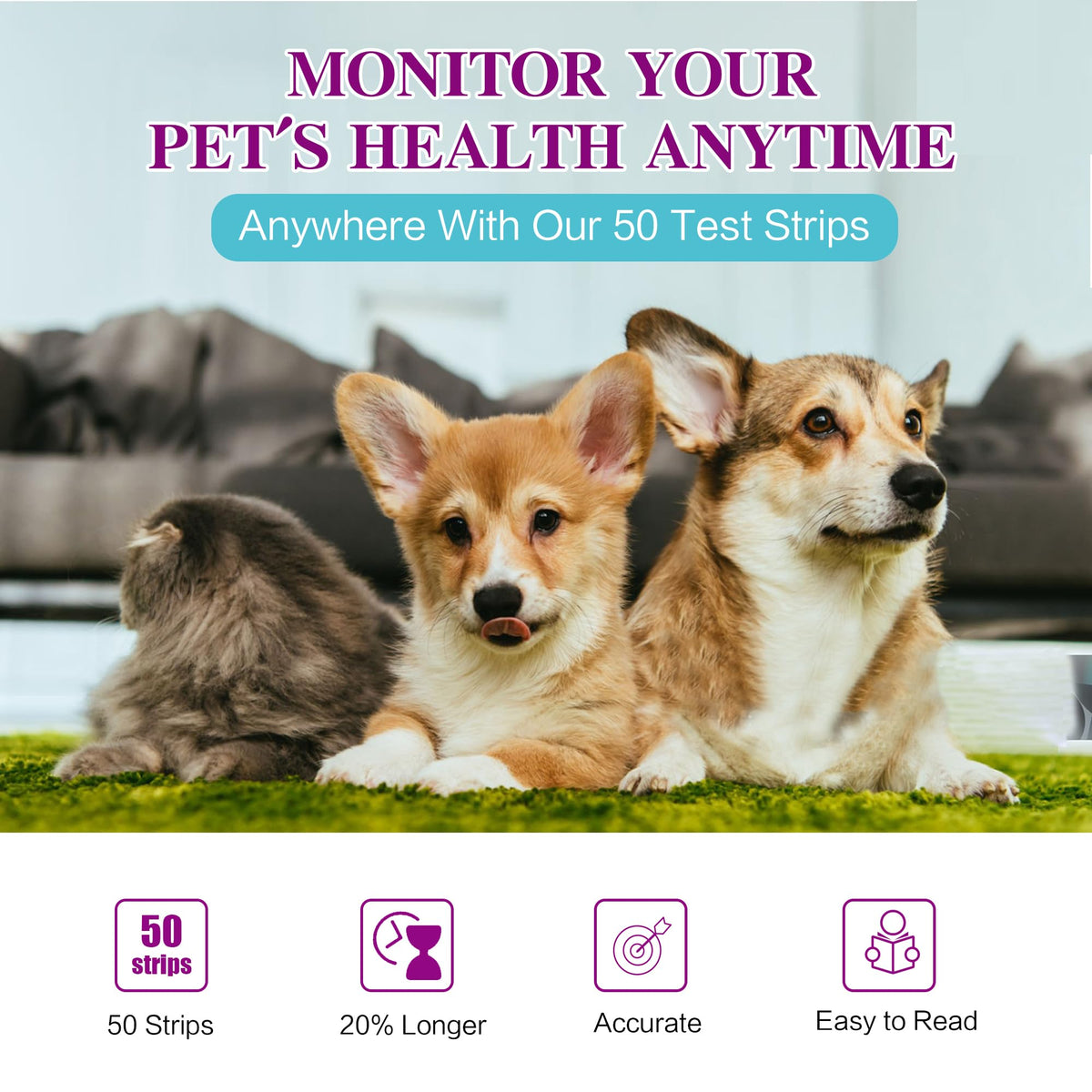 Dog & Cat Urine Test Strips, 4-in-1 Pet Urinalysis Testing Kit K1680