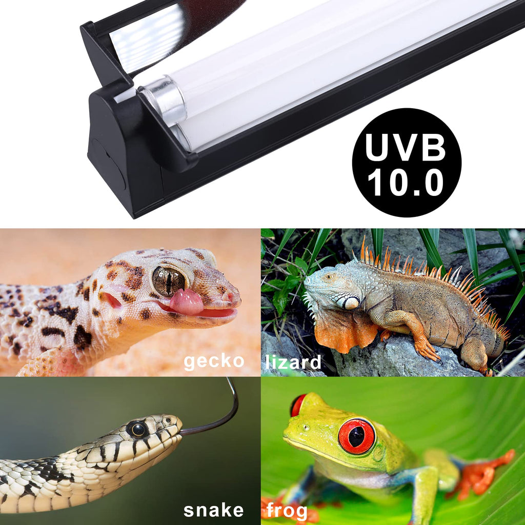 Reptile Heat Pad and UVB Light K41901