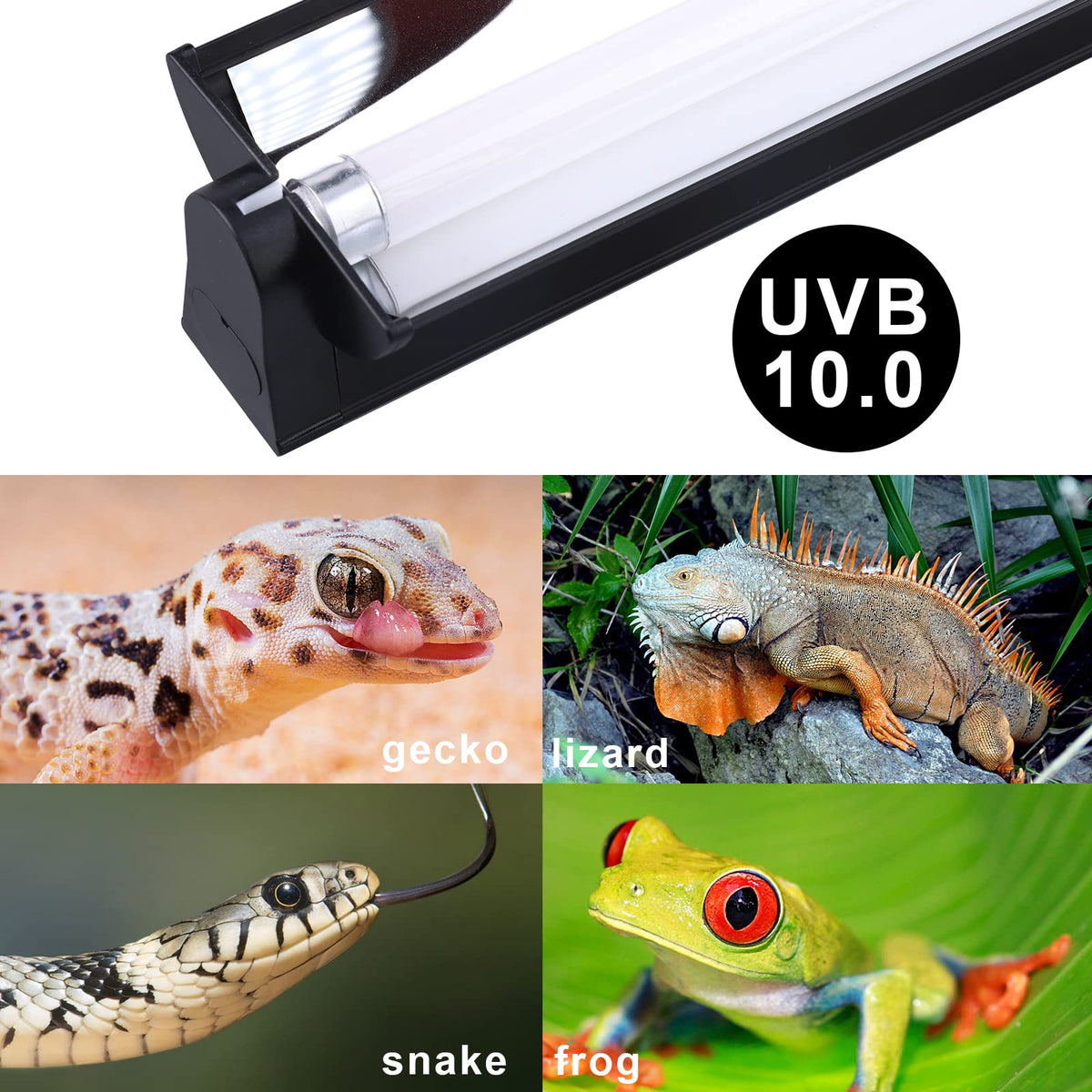 Reptile Heat Pad and UVB Light K41901