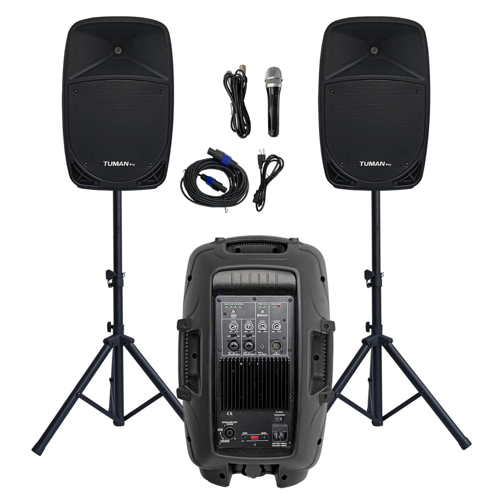 10 Inch 1200W PA Speaker System C767