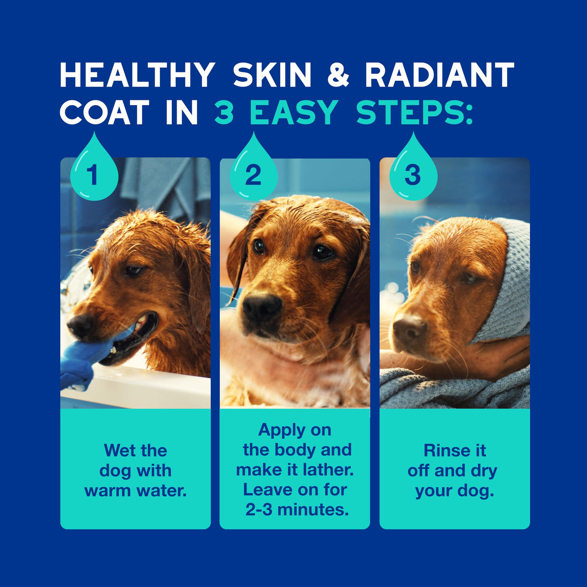 Dog Shampoo 16 fl oz P882