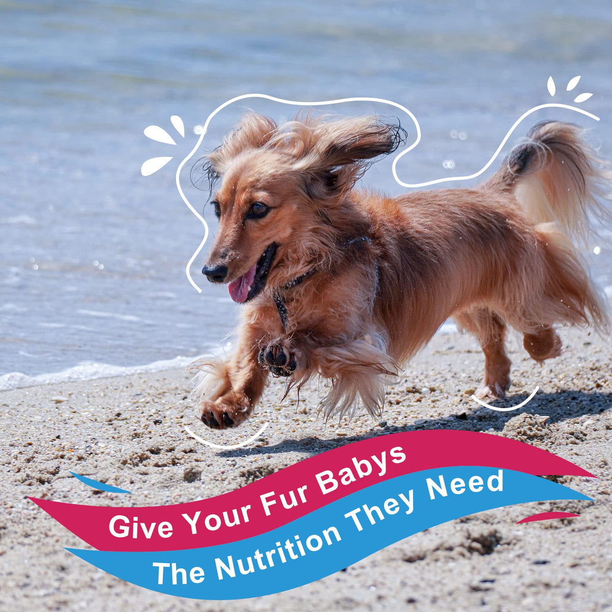 Dog Vitamins Powder Z689