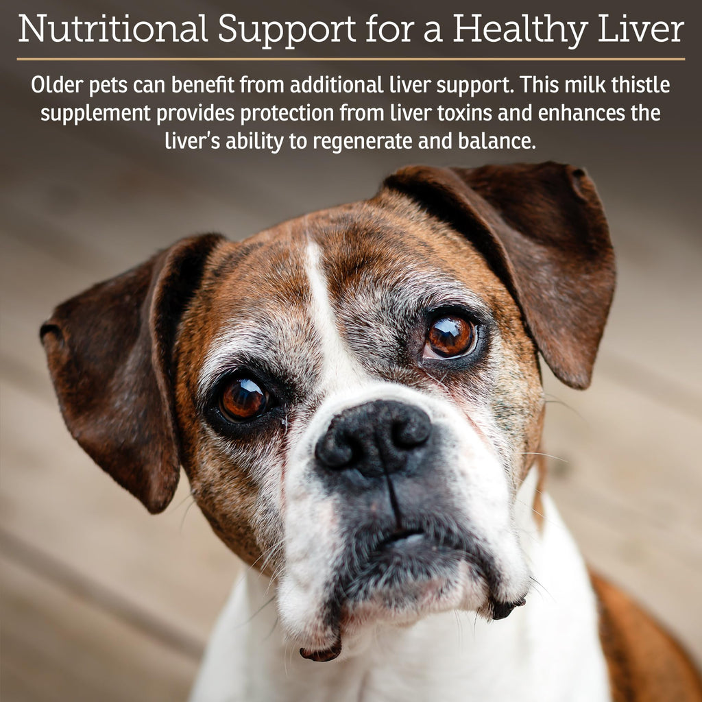 Liver Supplement 180ct O8985