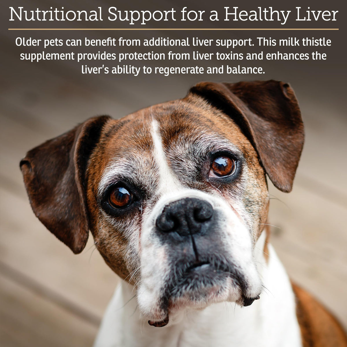 Liver Supplement 180ct O8985