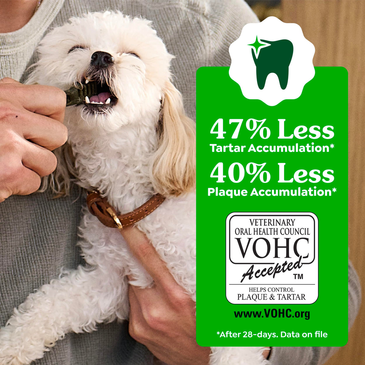 Large Natural Dental Dog Treats, 24 Count N2264