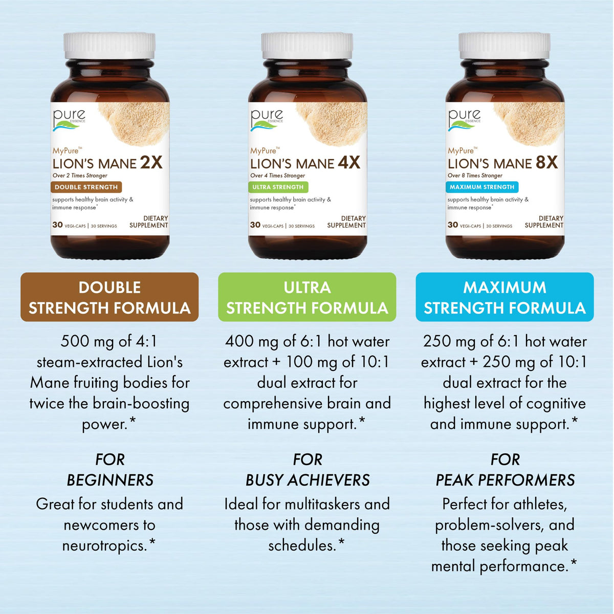 Lion's Mane Brain Support Supplement 30 Capsules I70594