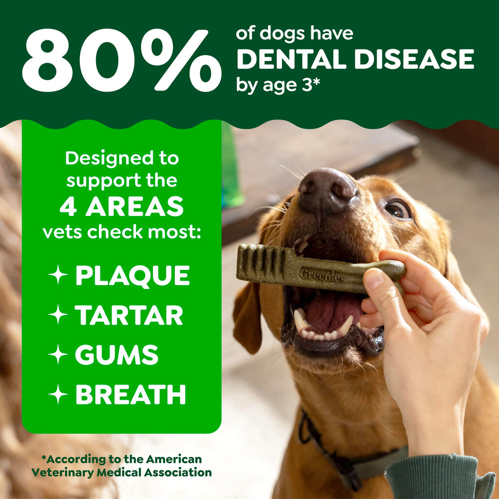 Large Natural Dental Dog Treats, 24 Count N2264