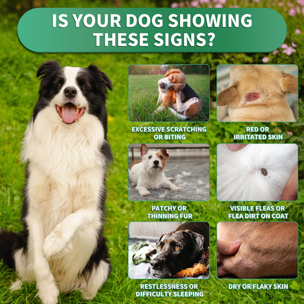 Flea and Tick Prevention for Dogs Chewables Q974884