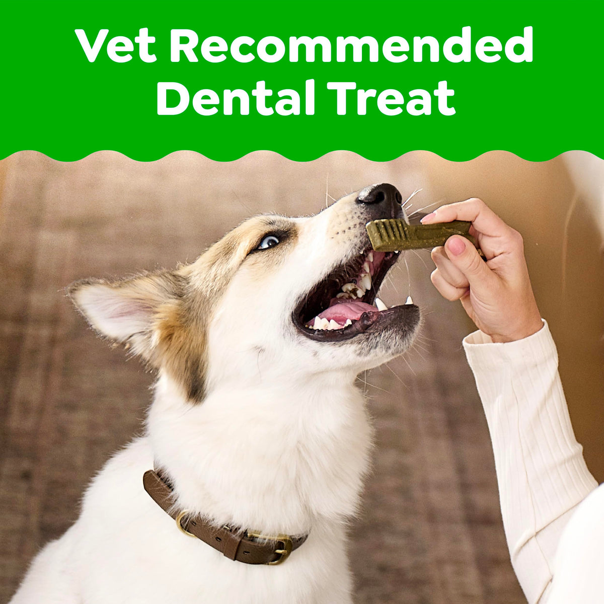 Large Natural Dental Dog Treats, 24 Count N2264