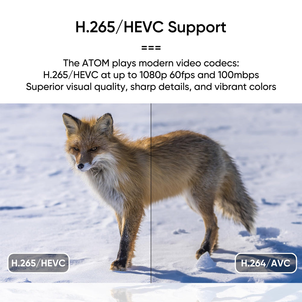1080P Full-HD Digital Media Player M83603