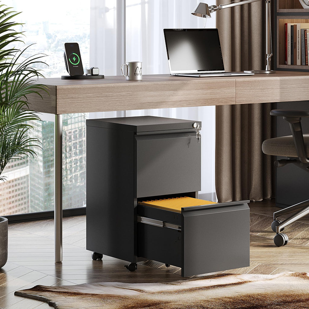 2 Drawer Metal File Cabinet I115295