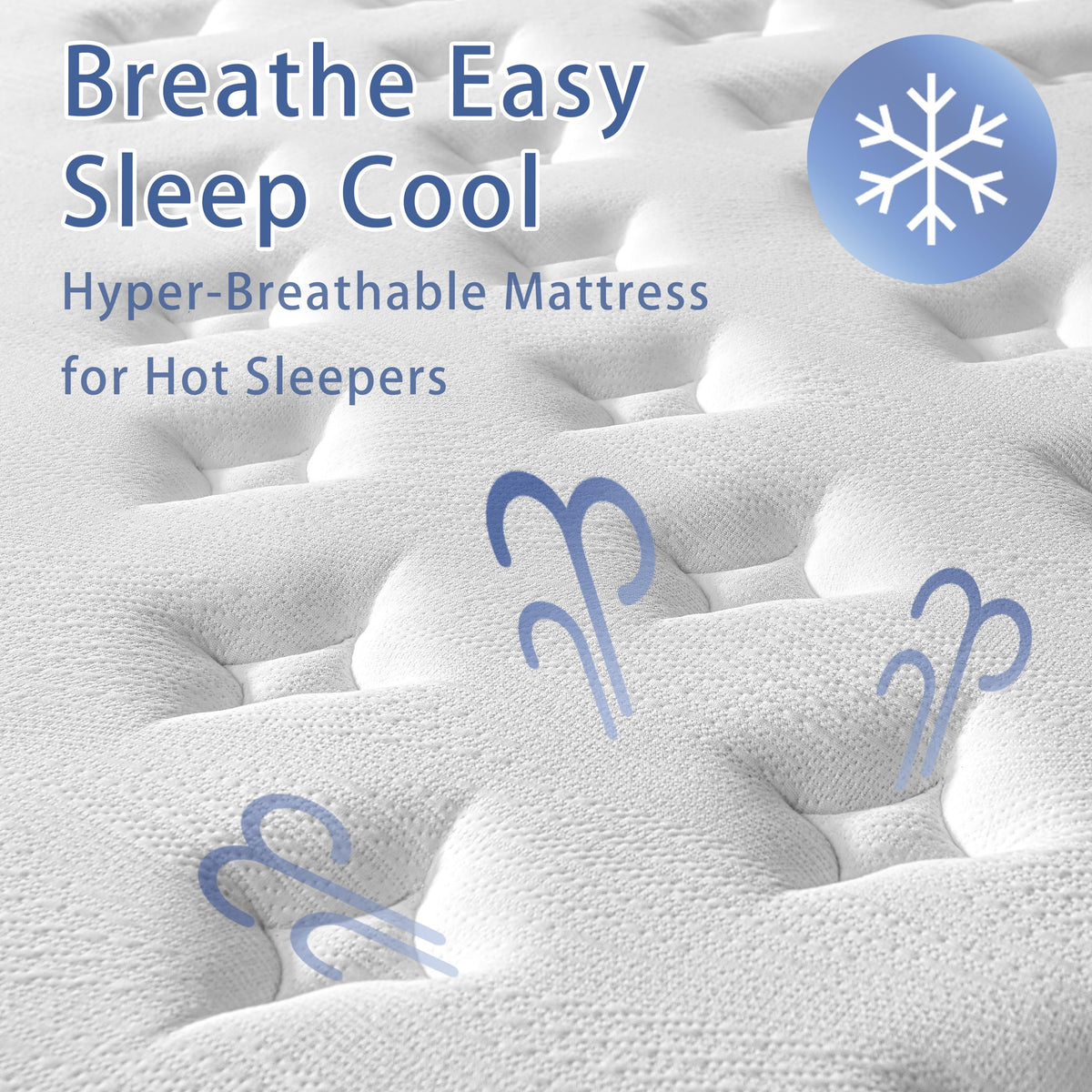 Full Size 10 inch Mattress T66821