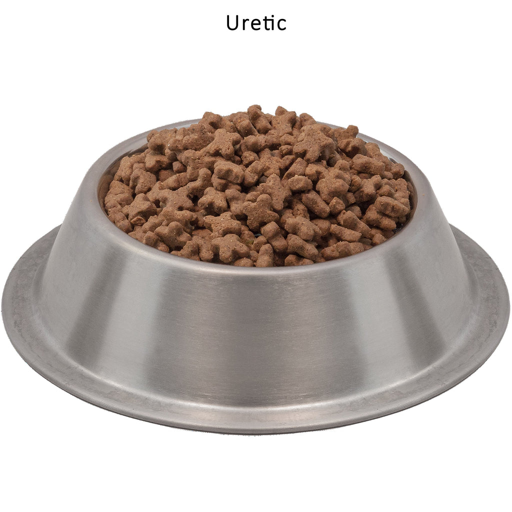 Chicken Dry Cat Food 5 pounds S961649
