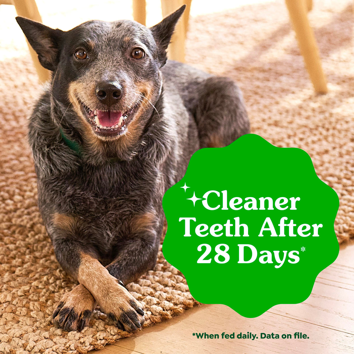 Large Natural Dental Dog Treats, 24 Count N2264