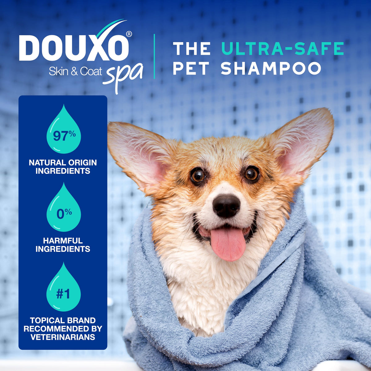 Dog Shampoo 16 fl oz P882